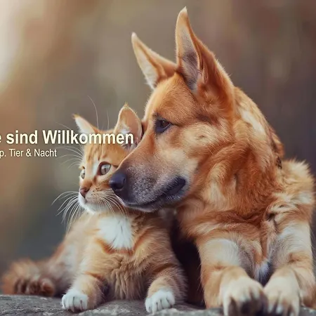 Szálloda Panorama Winterberg