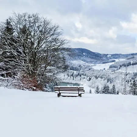 Panorama Hotell Winterberg