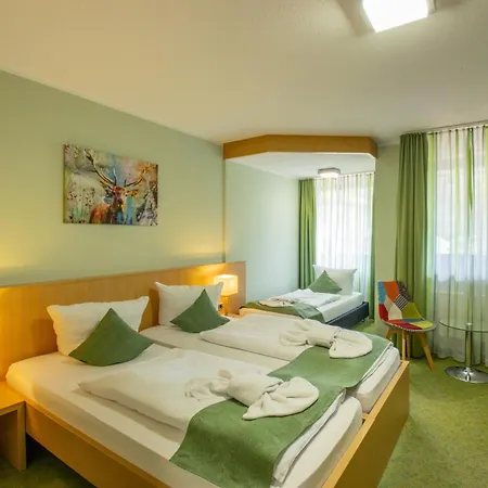 Panorama Otel Winterberg