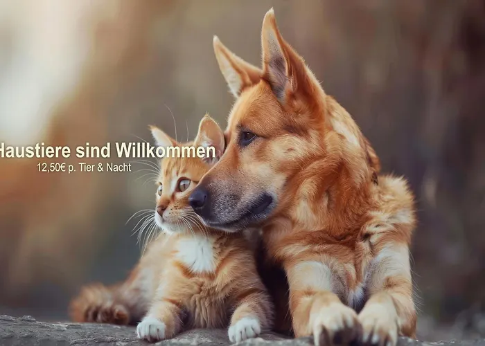 호텔 Panorama 빈터베르크